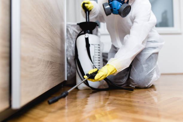 Best Pest Control for Restaurants  in Kenmar, PA