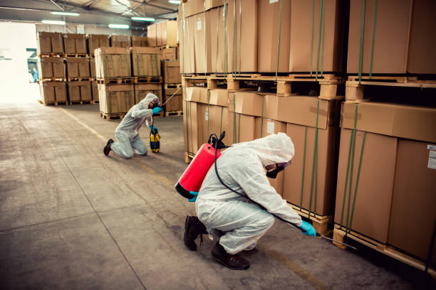 Best Wasp Removal Services  in Kenmar, PA