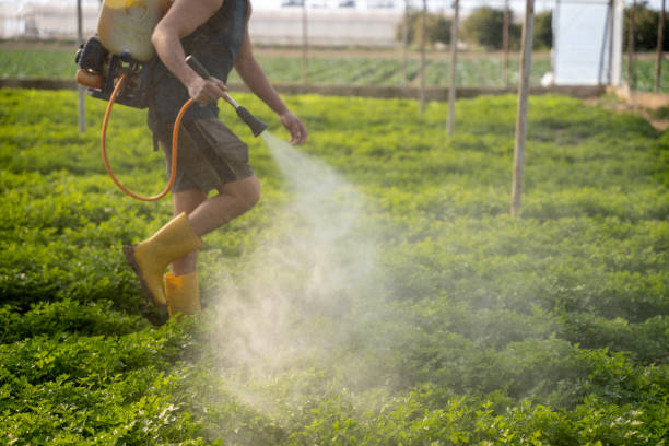 Best Best Pest Control Companies  in Kenmar, PA