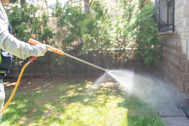 Best Insect Control  in Kenmar, PA