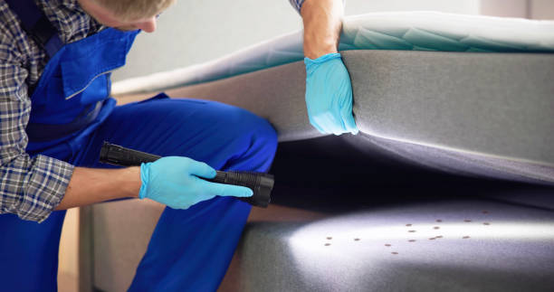 Flea Control Services in Kenmar, PA
