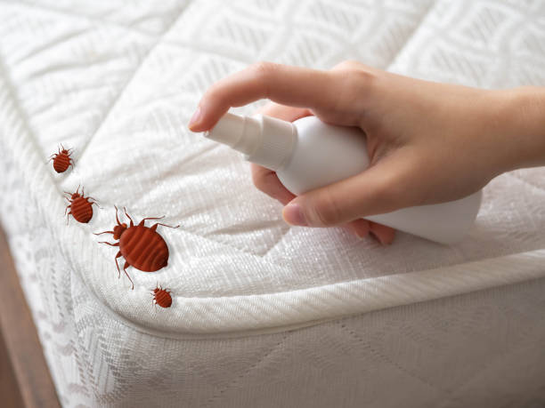 Best Emergency Pest Control  in Kenmar, PA