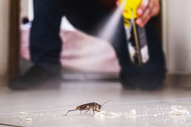 Professional Pest Control in Kenmar, PA