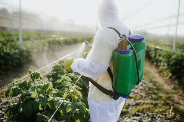 Best Flea Control Services  in Kenmar, PA